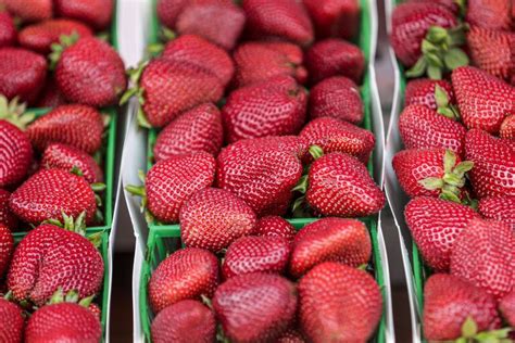 Fda Investigates Hepatitis A Outbreak Linked To Strawberries Los