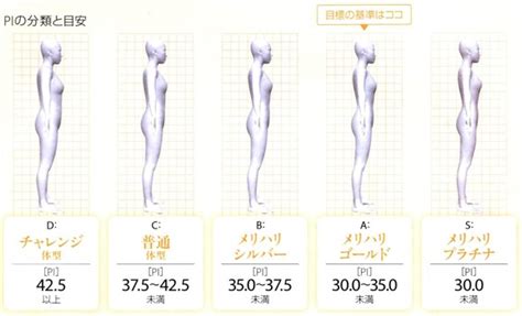 メリハリのある美しさの指標「pi値」ランキングデータ 「都道府県別・女性体型メリハリ度調査2014」発表 道州制になったら、東海道にスタイル