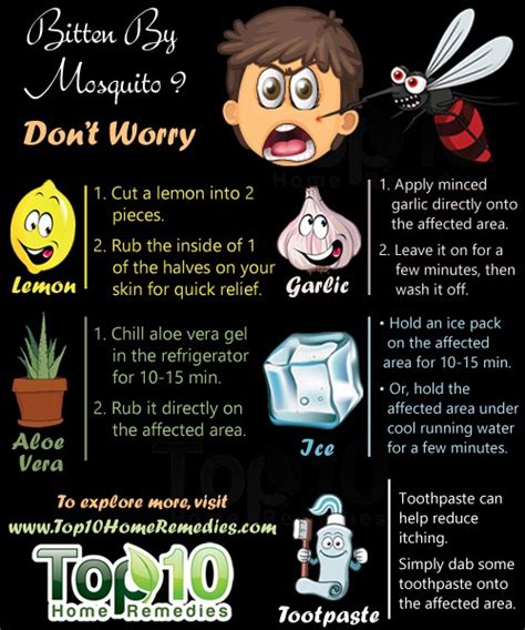 home remedies for mosquito bites top 10 home remedies