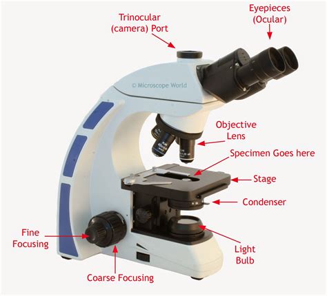 microscope world blog    light microscope work