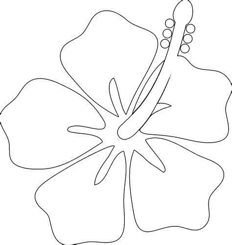 hawaii flower coloring page coloring home