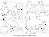Animals Coloring Pages Arctic Tundra Preschoolers Color Getcolorings Getdrawings Printable sketch template