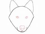 Wolf Easy Drawings Draw Nose Drawing Step Head Anime Face Mouth Realistic Pencil Clipartmag Sketch Template Coloring Pages Tutorial Choose sketch template