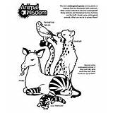 Wisdom Animal Coloring Pages Garden Crayola Critters Animals Print sketch template