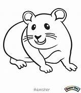 Hamster Coloring Pages Cute Dog Glider Drawing Small Dwarf Sugar Color Realistic Printable Critter Colorings Getdrawings Getcolorings Print Simple Pet sketch template