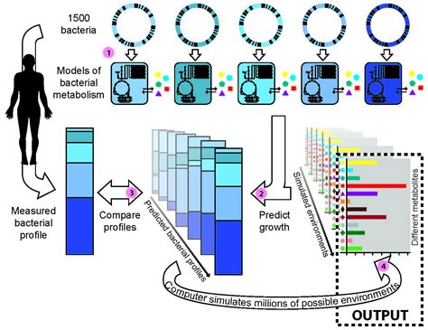 predicting metabolites based  bacterial genes ubc