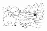 Fernand Petit Colouring Pole North Arctic Discover Animals Busy Holidays Keep During Print Kids sketch template