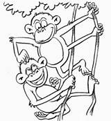 Mewarnai Monyet Binatang sketch template