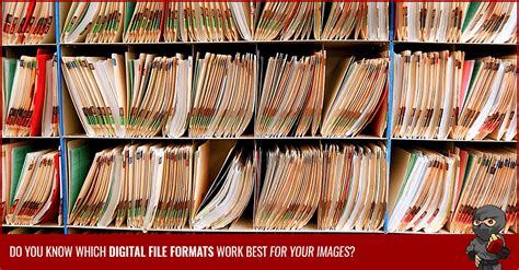 choose   digital file formats   images infographic