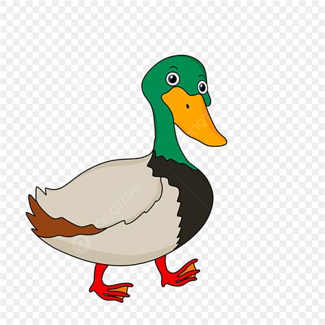 duck clipart png