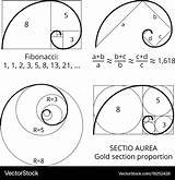 Fibonacci Golden Ratio Gold Spirals Section Vector sketch template