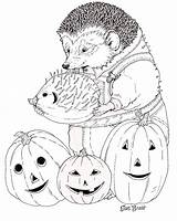 Coloring Pumpkin Brett Jan Pages Halloween Carves Hedgie Janbrett Vintage Hedgehog Joyous Colouring Printable Inkspired Musings Courtesy Activities Children sketch template