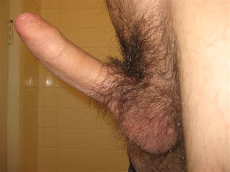 img 6845 in gallery my hairy cock picture 4 uploaded by horny818er on