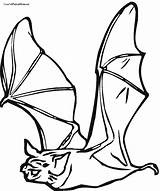Bat Coloring Pages Realistic Baby Getcolorings sketch template