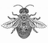 Bee Zentangle Botanical Insect Insects Craftwhack Drips Ink Bees Tangling Brooks sketch template