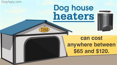 perfect dog house heater guide  protect  dog   cold pet ponder