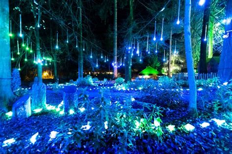 center parcs opens  winter wonderland  welcomes  santa teesside