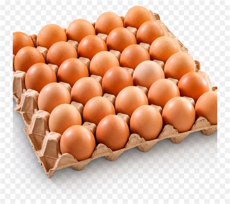 Gambar Telur Ayam 87 Gambar Ayam Telur Paling Bagus Gambar Pixabay