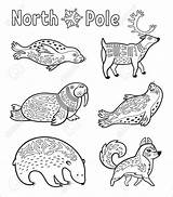 Arctic Overzichts Geplaatst Kleuren Polar Coloringbay sketch template