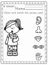 Coloring Senses Five Pages Preschool Printable Printables Popular sketch template
