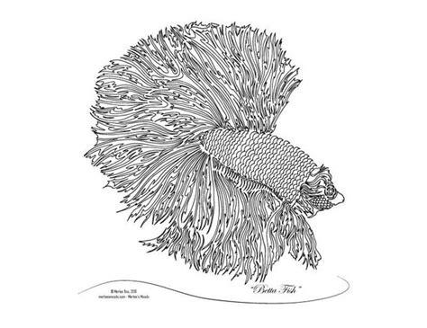 betta fish original art coloring page  merleesmoods  etsy