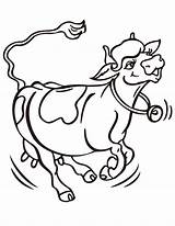 Coloring Cow Jumping Clarabelle Mucca Corre Divertenti Mucche sketch template
