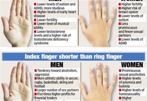 is a man s ring finger longer than his index finger margaret greene