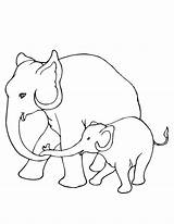 Elephants Bebes Elefantes Worksheet Mammals Elefante Bebé Animal Buscando Colorea sketch template