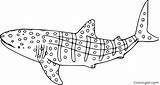 Shark Whale Coloring Pages Easy Printable Vector Fish Cute Print Big sketch template
