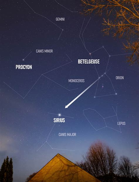 sirius  brightest star   sky pictures facts  location