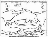 Dolphin Coloring Clipart Printable Outline Pages Dolphins Kids Silhouette sketch template