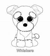 Beanie Coloring Pages Boo Ty Boos Party Kids Babies Baby Puppy Dog Printable Kleurplaten Colouring Sheets Cute Whiskers Rocks Kleurboeken sketch template