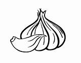 Ajo Alho Aglio Verduras Coloringcrew Vegetable Onion Imagen Alhos Cabeza Dibuix Acolore Verdure Chives Welsh Descascados Conservar Jiaozi sketch template