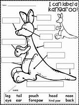 Kangaroo sketch template