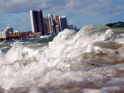 global warming could cause sea levels to rise higher than the height of