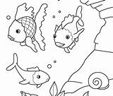 Fish Coloring Pages Filminspector sketch template