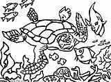 Coloring Pages Mola Animal Getdrawings Kenya Getcolorings sketch template
