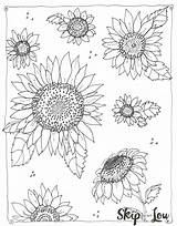 Sunflower Sunflowers Lou Kids Colouring Skiptomylou Books Toddlers Tsgos sketch template