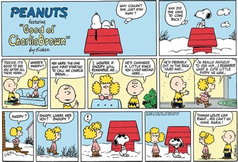 january  comic strips peanuts wiki fandom