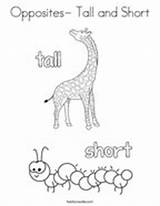 Tall Short Coloring Opposites Worksheets Kids Preschool Soft Hard Print Twistynoodle Pages Kindergarten Outline Slow Fast Printable Twisty Matching Draw sketch template