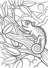 Chameleon Kameleon Dieren Wilde Kleurplaten Camaleonte Selvatici Schattige Kolorowanki Bestcoloringpagesforkids Carino Siede Piccolo Chameleons Camouflage Dzieci Mayka Wydrukowania sketch template