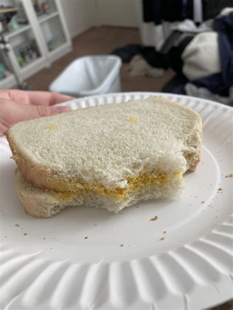 mustard sandwich aia depression sandwich rshittyfoodporn
