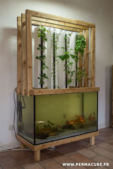 fascinating diy indoor aquaponics fish tank ideas