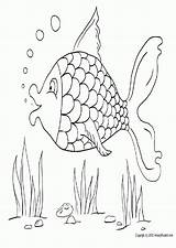 Coloring Pages Detailed Fish Library Popular sketch template