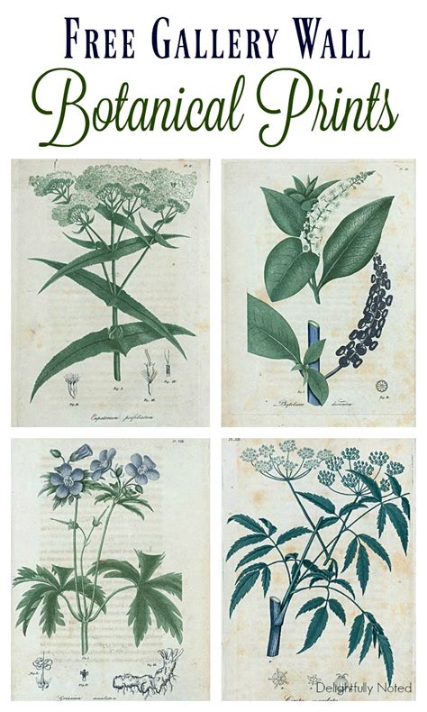 botanical art prints delightfully noted