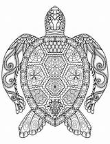Mindfulness Coloring Pages Colouring Printable Turtle Getcolorings Sheets Colorings Sea sketch template