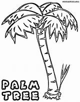 Palm Coloring Pages Print Coloringway sketch template