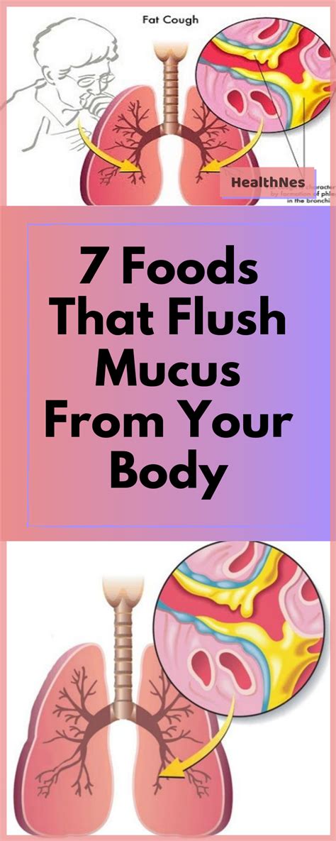 foods  flush mucus   body mucus mucus  throat  rid  mucus