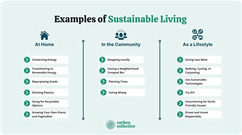 guide  sustainable living meaning goals examples importance