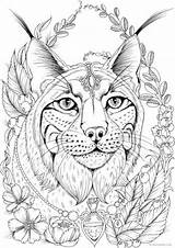Lynx Luchs Colorier Gratuit Favoreads Karlzon Hanna Tiere Coloringbay Mandalas Malvorlagen Erwachsene sketch template